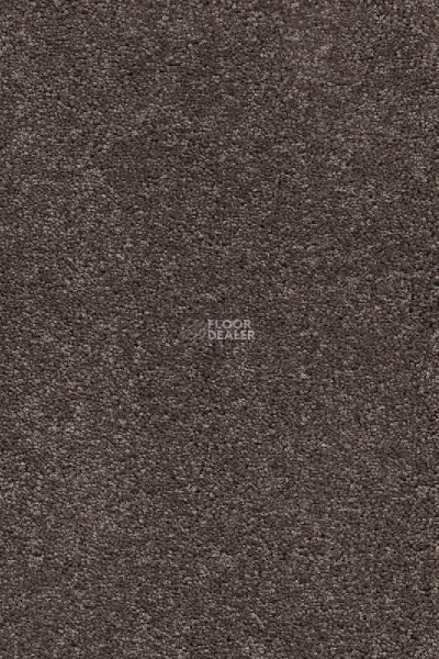 Ковролин AW Vivendi Punch 44 фото 1 | FLOORDEALER